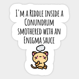 Funny I'm a Riddle Conundrum Enigma Cat design Sticker